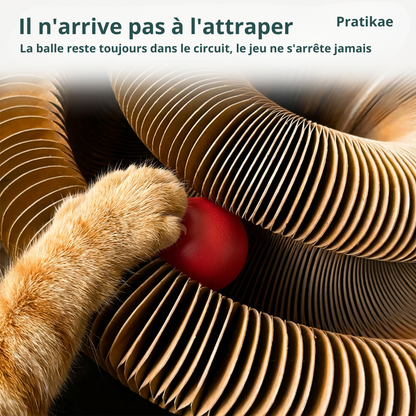 Griffe, Joue, Dort - Tout En Un