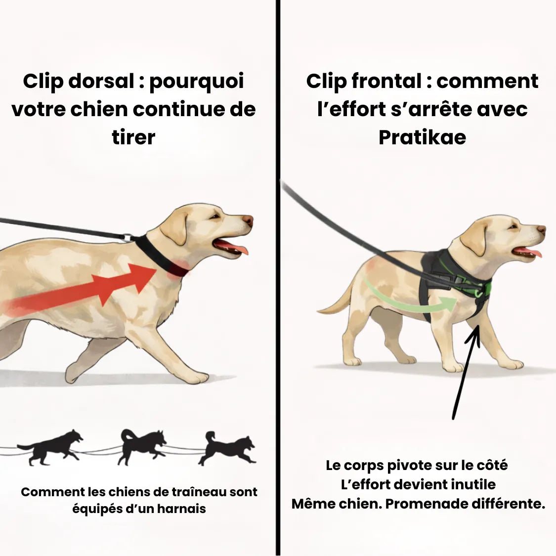Harnais anti-traction pour chien Pratikae