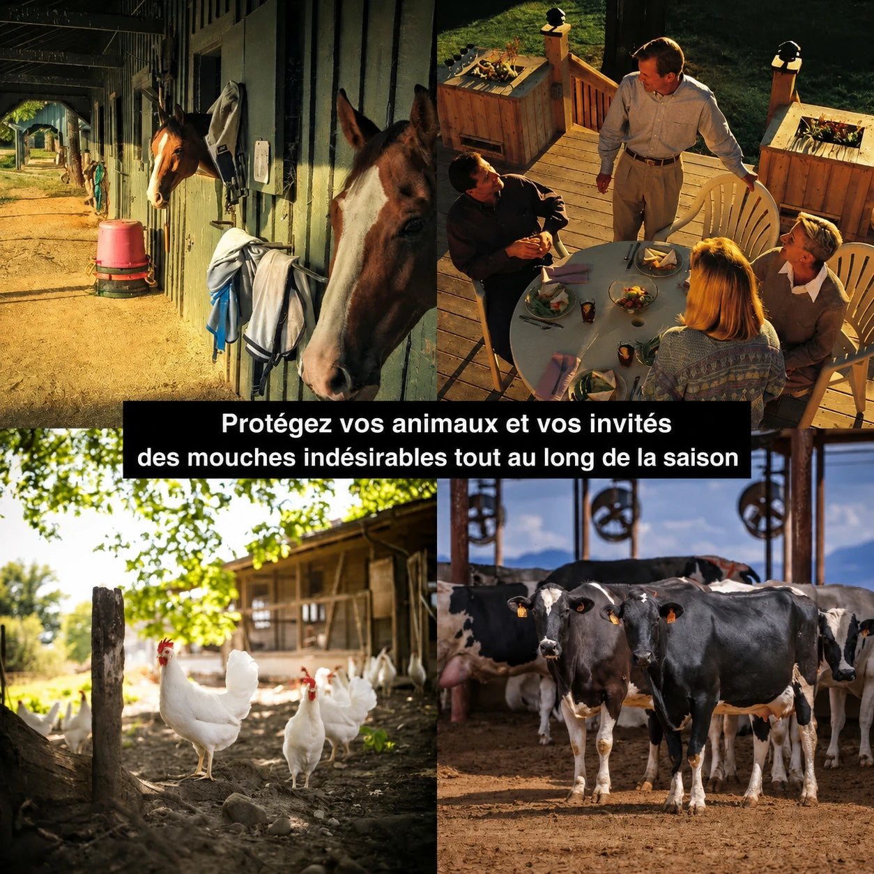 BioCatch – Grand piège à mouches suspendu pour une protection efficace contre les mouches