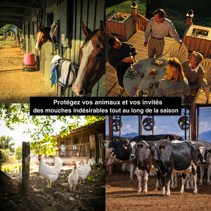 BioCatch – Grand piège à mouches suspendu pour une protection efficace contre les mouches