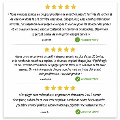 BioCatch – Grand piège à mouches suspendu pour une protection efficace contre les mouches