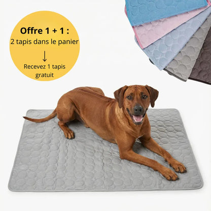 Tapis rafraîchissant pour l’été | Offre 1+1 offert