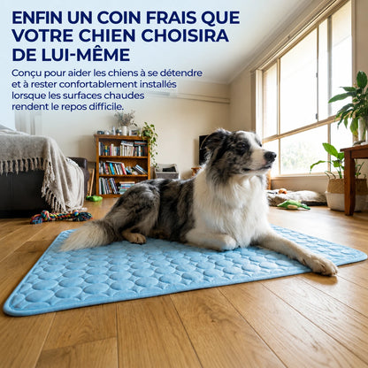 CoconFrais | Tapis rafraîchissant pour chien en soie glacée
