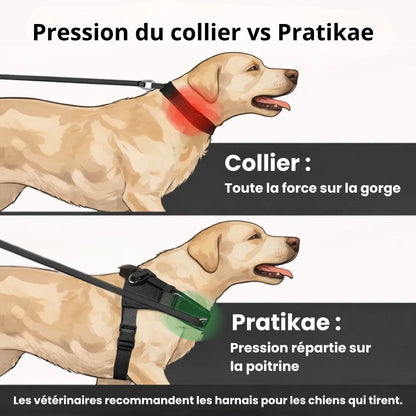 Harnais anti-traction pour chien Pratikae