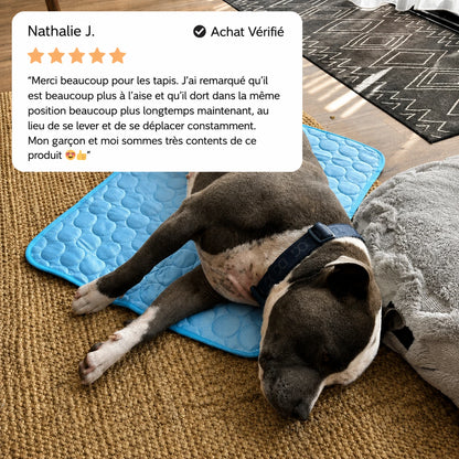 CoconFrais | Tapis rafraîchissant pour chien en soie glacée