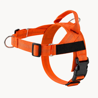 Harnais anti-traction pour chien Pratikae