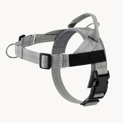 Harnais anti-traction pour chien Pratikae