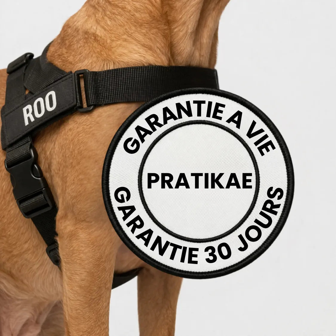 Harnais anti-traction pour chien Pratikae