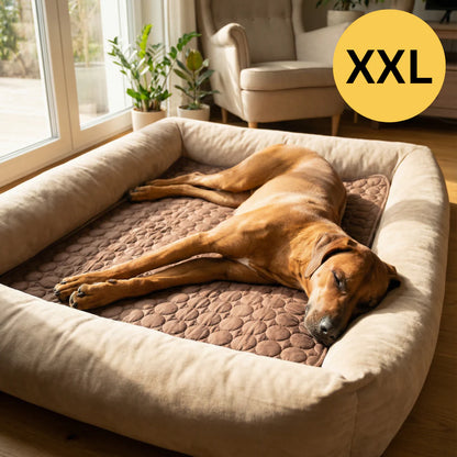 Tapis rafraîchissant pour l’été | Offre 1+1 offert