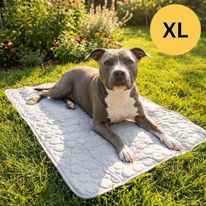Tapis rafraîchissant pour l’été | Offre 1+1 offert