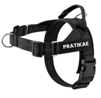 Pratikae