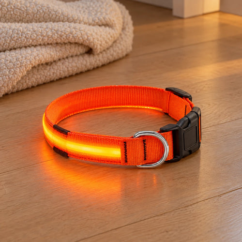 Collier lumineux LED pour chien orange