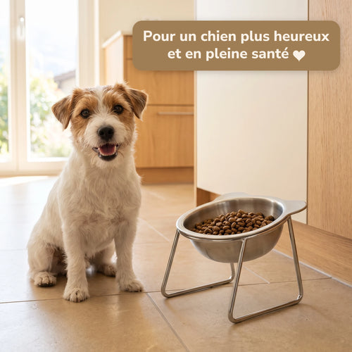 Gamelle inclinée surélevée pour chien – 01-fr