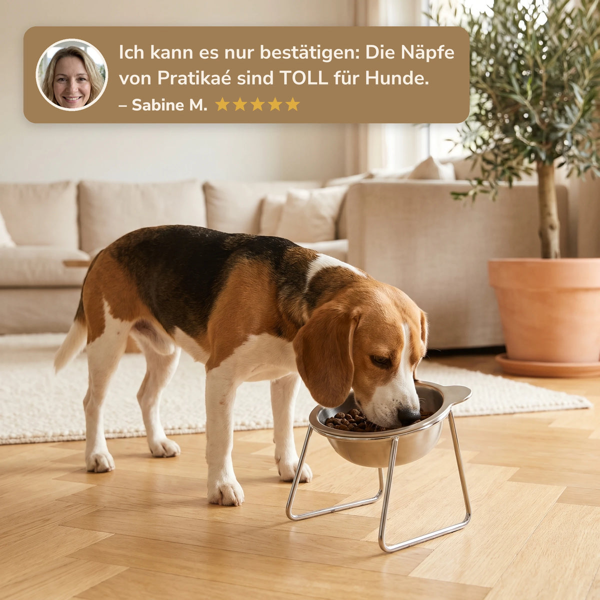 Gamelle inclinée surélevée pour chien – 05-de