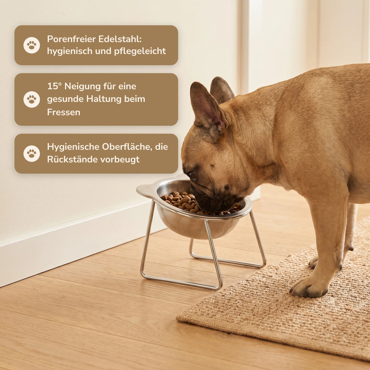 Gamelle inclinée surélevée pour chien – 06-de