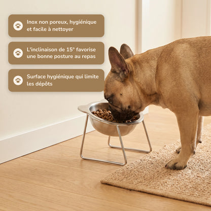 Gamelle inclinée surélevée pour chien – 06-fr