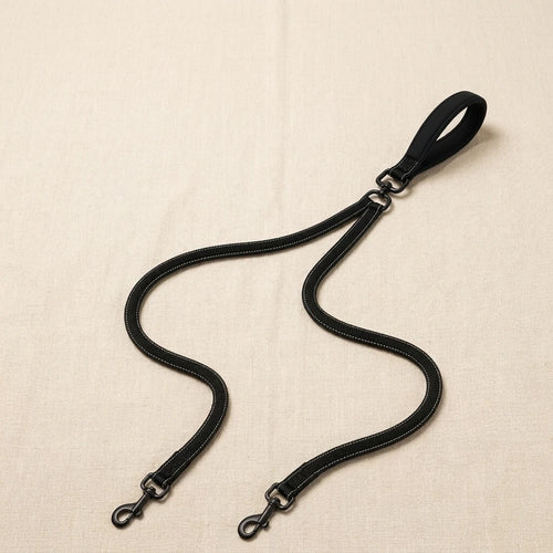 Laisse anti-traction double