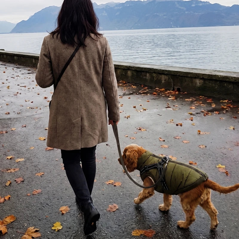files/manteau-harnais-chien-avis-profil.webp