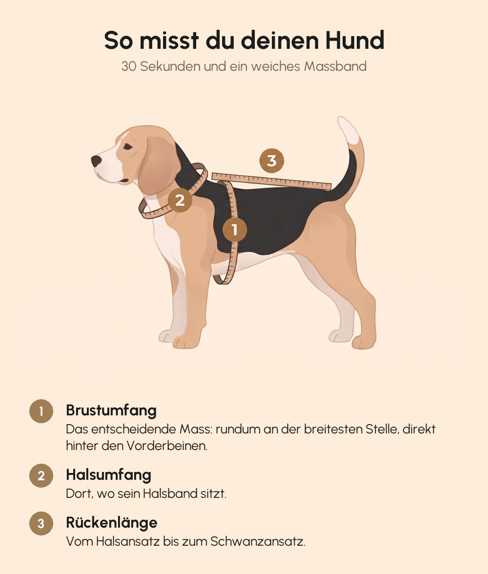 So misst du deinen Hund
