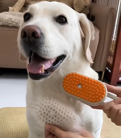 Brosse vapeur pour chien